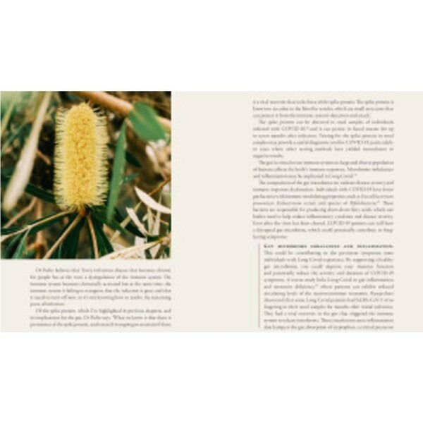 Nature's Way to Healing: A Long Covid Guide – holistic health and recovery book offering natural remedies, lifestyle strategies, and wellness tips for long Covid recovery.