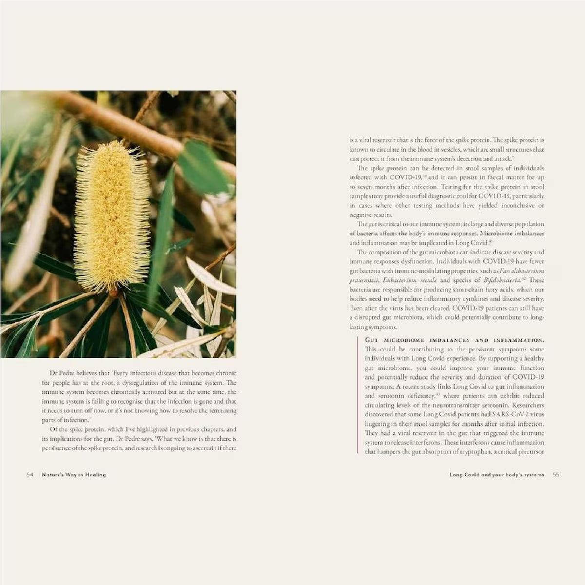 Book cover of "Supercharged Food Nature's Way to Healing: A Long Covid Guide" by Lee Holmes, featuring a vibrant design focused on health and healing, offering insights into nutrition and natural remedies for long Covid recovery.