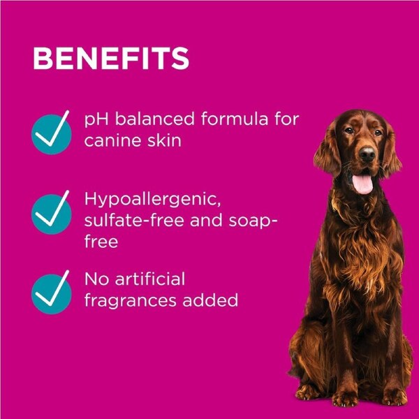 "Blackmores PAW Sensitive Skin Shampoo 500ml bottle for pets with soothing formula for sensitive skin."