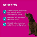 PAW by Blackmores Mediderm Gentle Medicated Shampoo 200ml for soothing and treating itchy, dry, and sensitive skin in pets