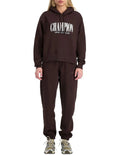 Champion Graphic Hoodie in Brown – Stylish casual pullover with bold logo design, premium fabric, and comfortable fit.