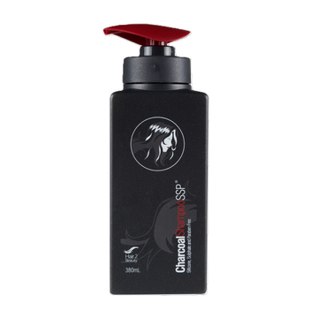 H2B Charcoal Shampoo SSP 380ml | Purifying Hair Care