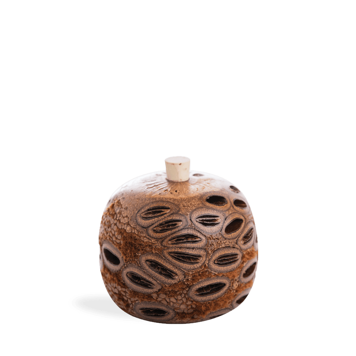 Perfect Potion Banksia Scent Pot