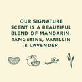 Text describing a signature scent blend with icons of mandarin, tangerine, vanillin, and lavender on a beige background.