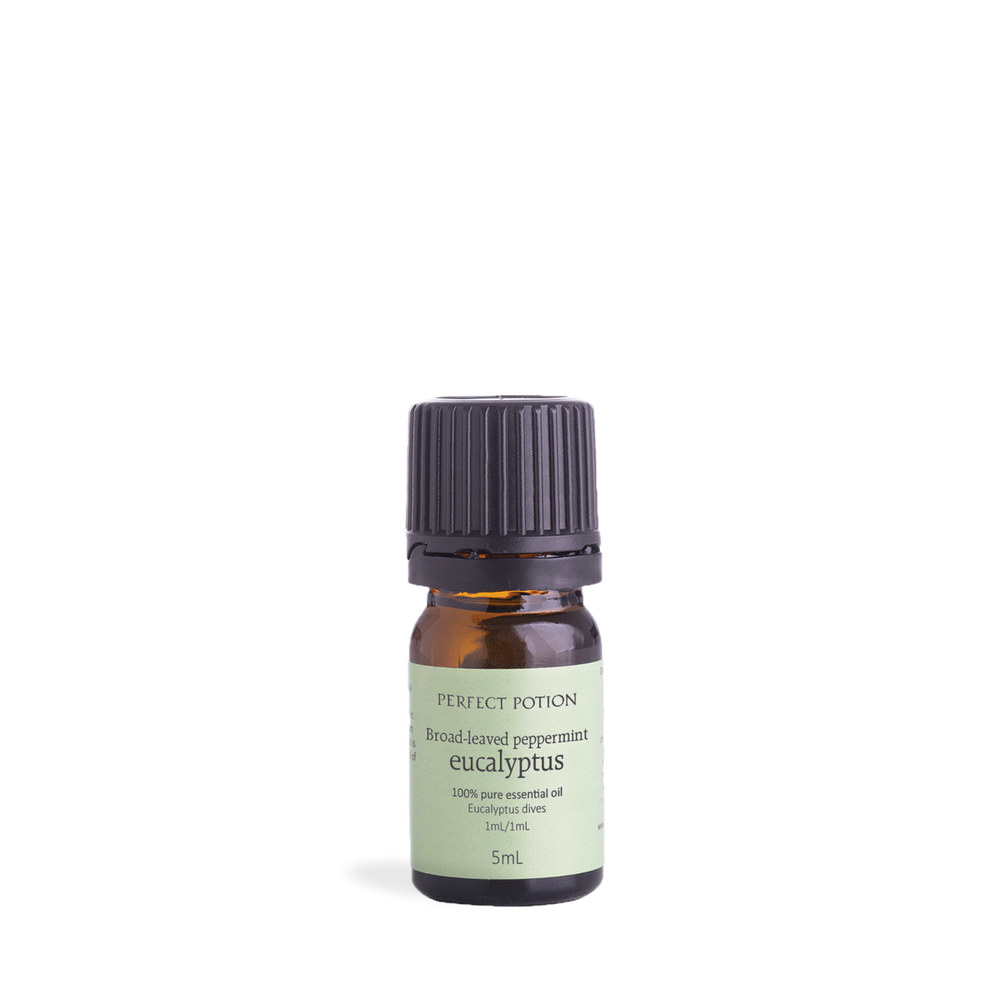 Perfect Potion Eucalyptus Broad-Leaved Peppermint Pure Essential Oil 5mL