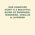 Text on a beige background describing a scent blend with Mandarin, Tangerine, Vanillin, and Lavender.