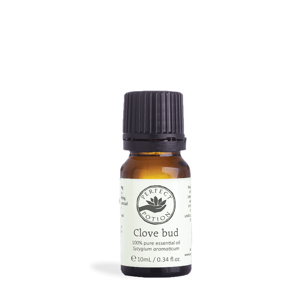 Perfect Potion Clove Bud Pure Essential Oil 10mL