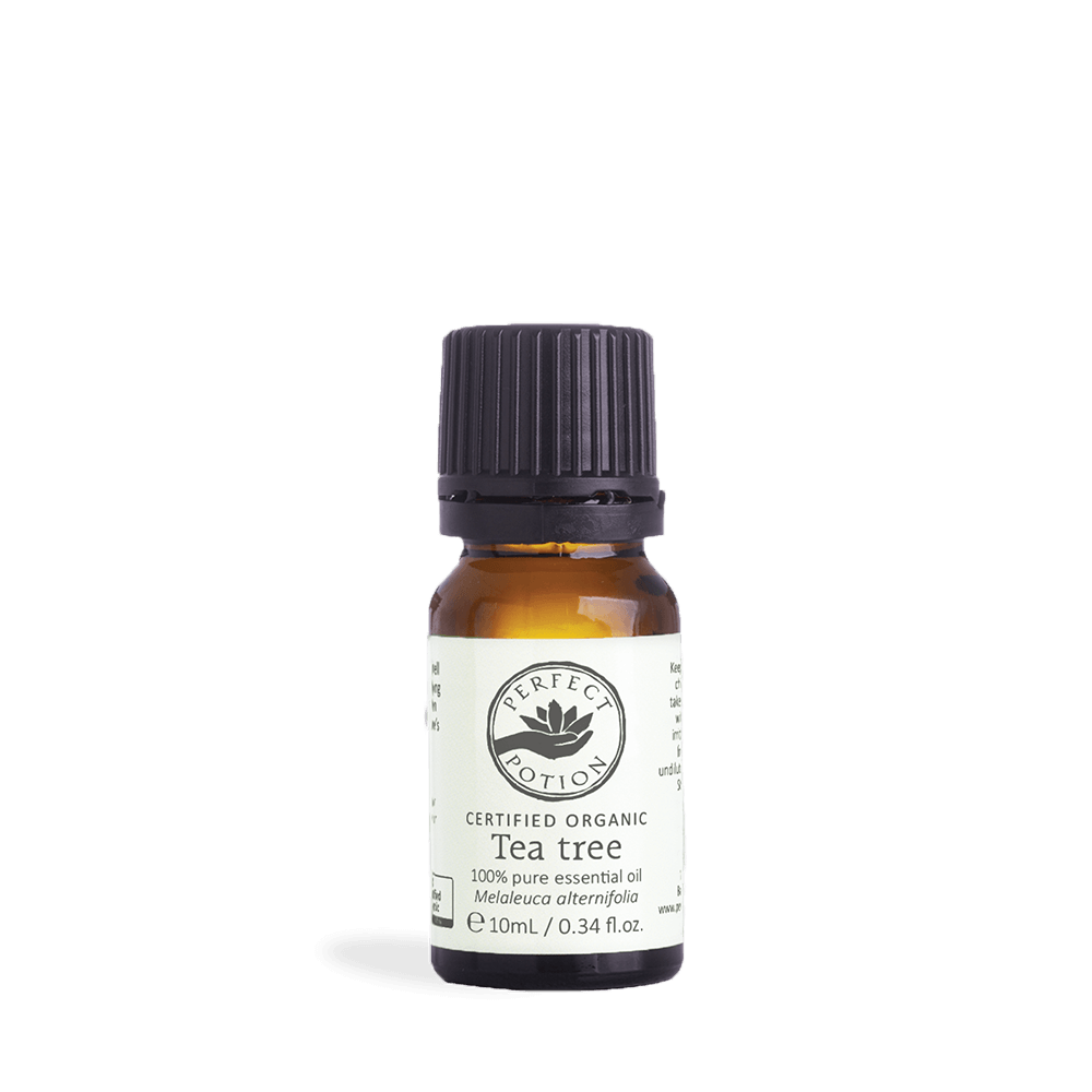 Perfect Potion Tea Tree Essential Oil 10mL